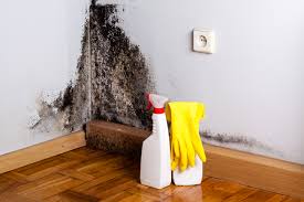 Best Mold Remediation for Healthcare Facilities  in Mauldin, SC